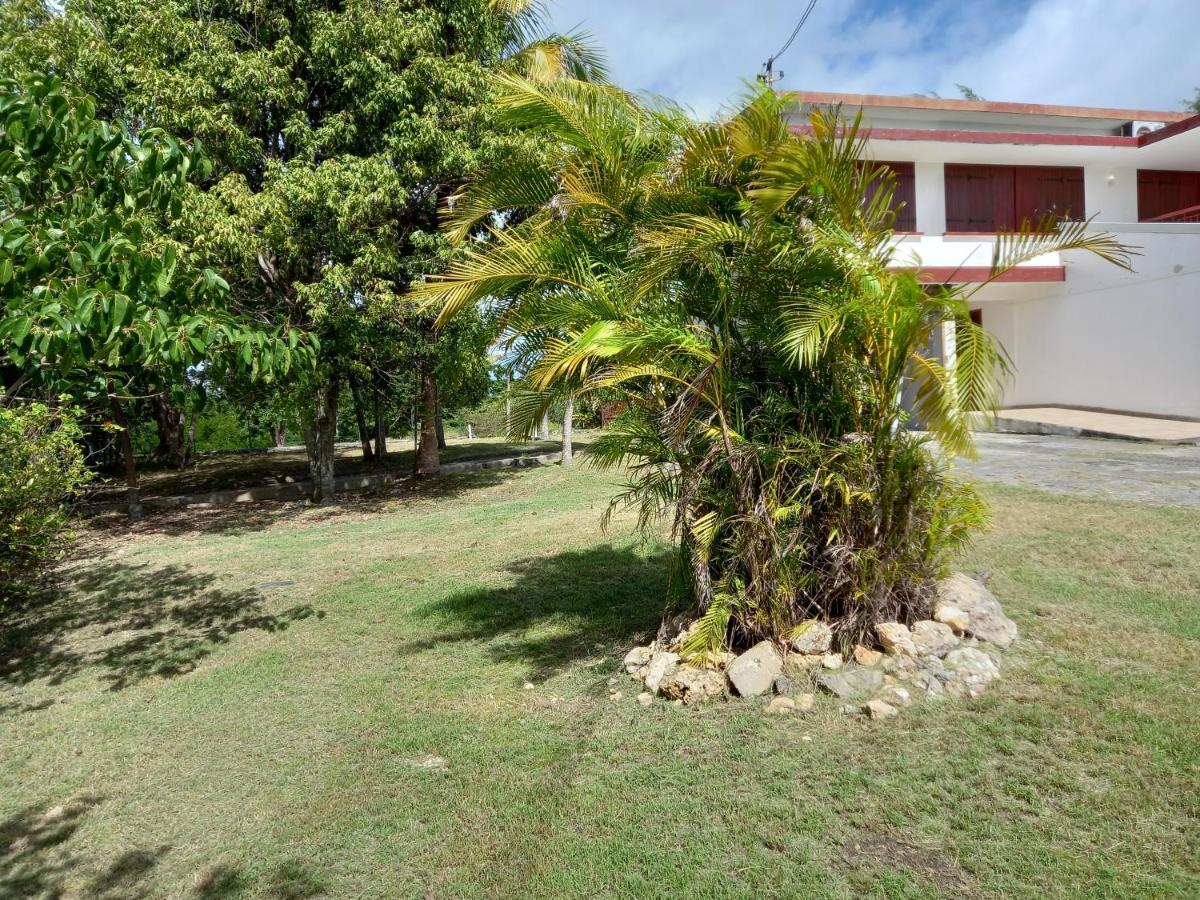 Villa Marie-Clotilde Sainte-Anne  Exterior photo